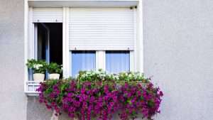 come pulire lesterno delle tende 300x169 - Le piante d'appartamento più facili da curare che illumineranno la tua casa